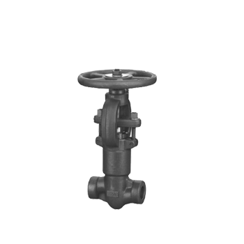 API 602 Globe Valves